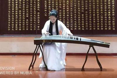 第八屆中國(國際)器樂文化藝術節南陽站演出活動圓滿舉行，助推文化藝術交流新篇章